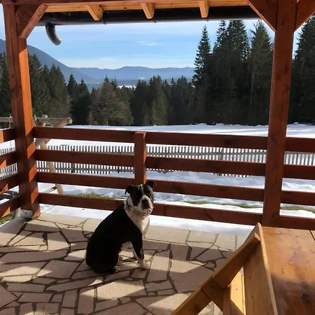 Braca Kosoric Dom wakacyjny *